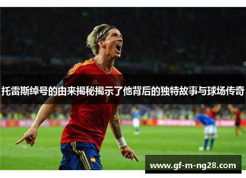 托雷斯绰号的由来揭秘揭示了他背后的独特故事与球场传奇 托雷斯绰号的由来揭秘揭示了他背后的独特故事与球场传奇