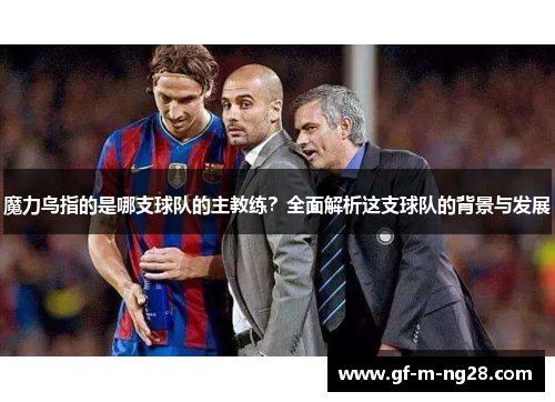 魔力鸟指的是哪支球队的主教练？全面解析这支球队的背景与发展