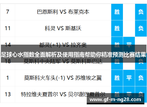 足球心水指数全面解析及使用指南帮助你精准预测比赛结果