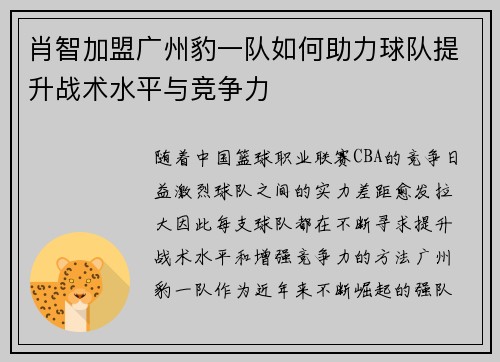 肖智加盟广州豹一队如何助力球队提升战术水平与竞争力