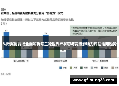 从数据到赛场全面解析哈兰德世界杯状态与竞技影响力评估走向趋势