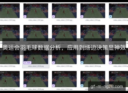 奥运会羽毛球数据分析，应用到场边决策显神效
